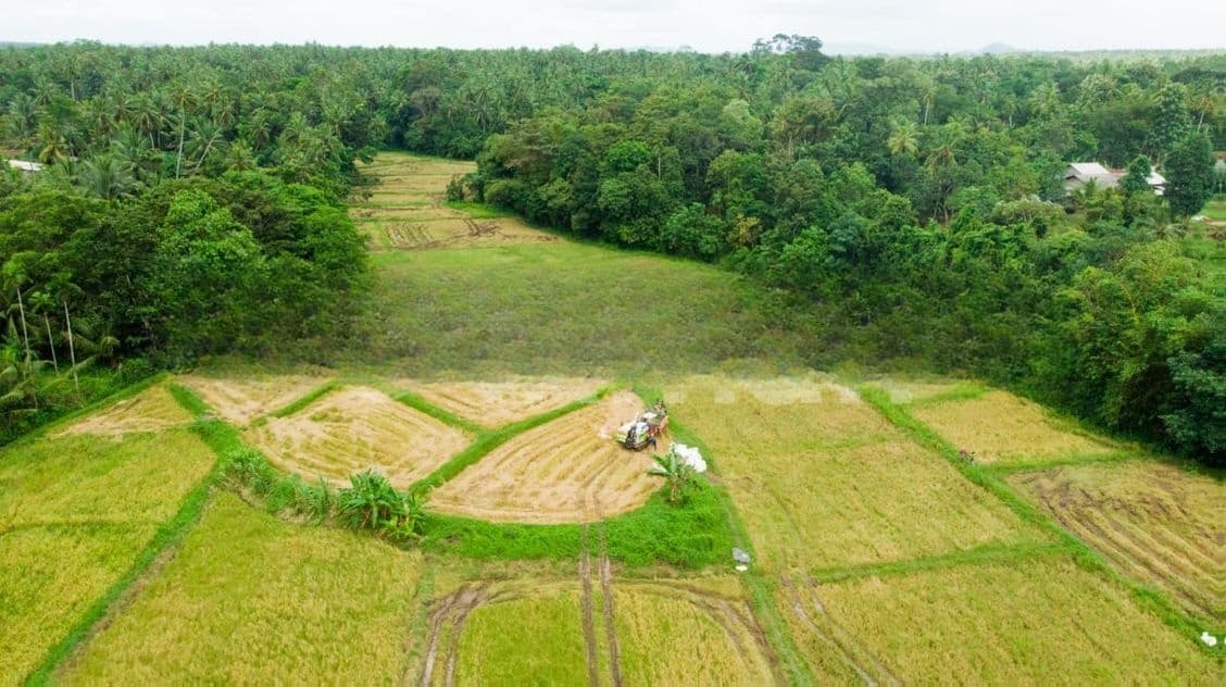 Land - Negambo