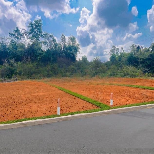 Land For Sale In Panagoda Ambulgama
