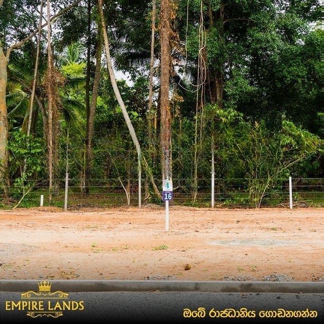 වැදගත් පරිසරයක පදිංචියට කටුනායක වටිනා බිම් කොටස් කිඹුලාපිටිය