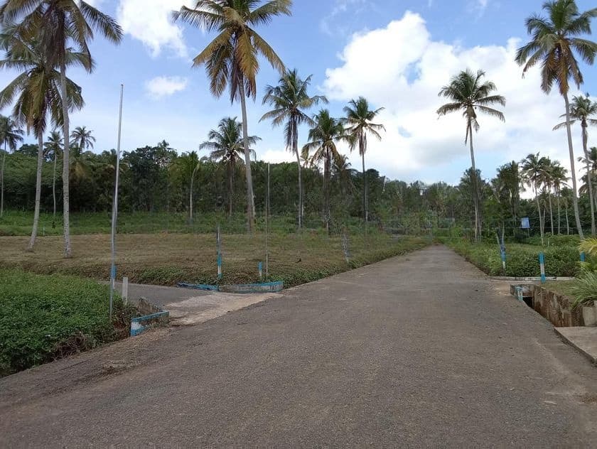 නාරම්මල නේවාසික බිම් කොටස්