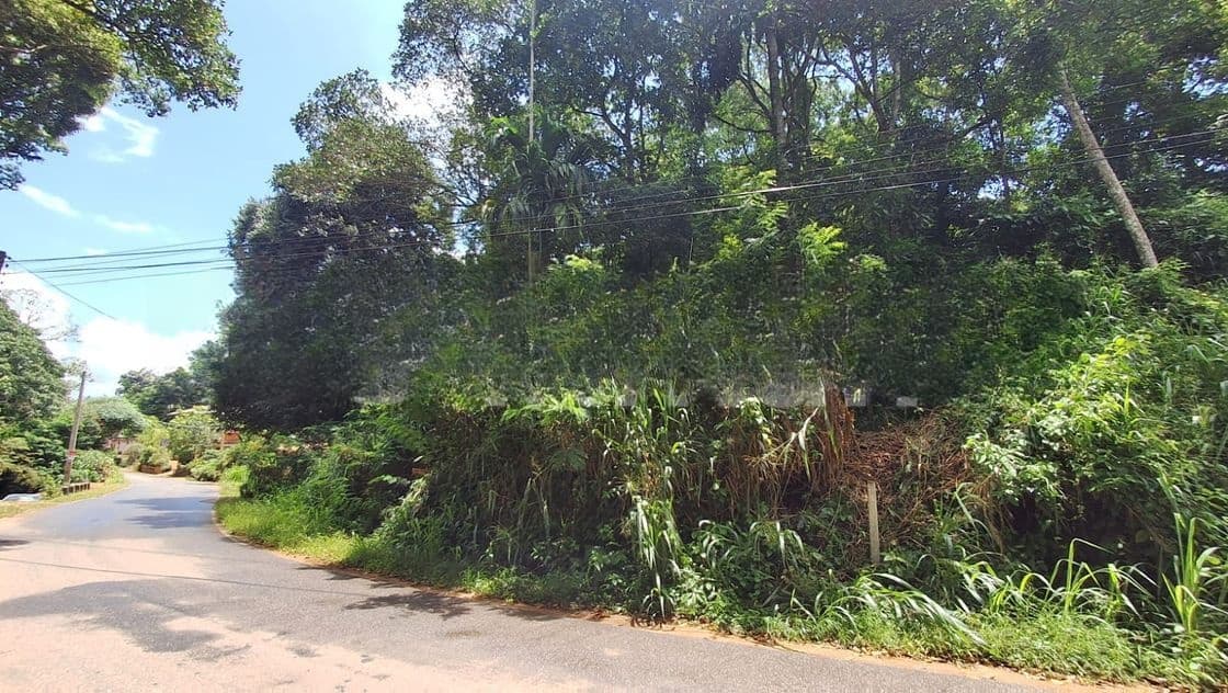 Prime Land for Sale – Peradeniya