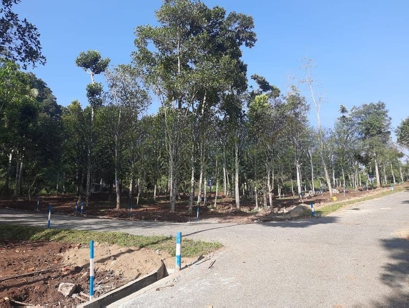 Land for Sale Kandy