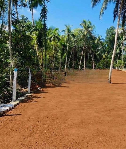 Land for Sale in Nittambuwa,Walgammulla M06