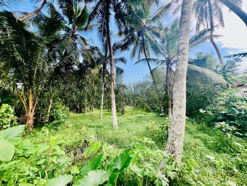20 Perches Valuable Land for Sale in Homagama