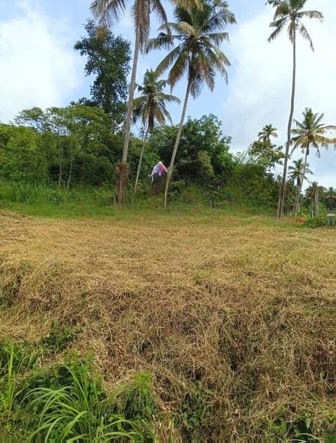 නාරම්මල ඉඩමක් විකිණීමට
