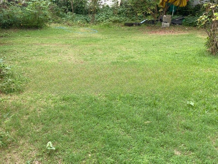 Prime 68P Land facing Marine Drive Bambalapitiya For Sale