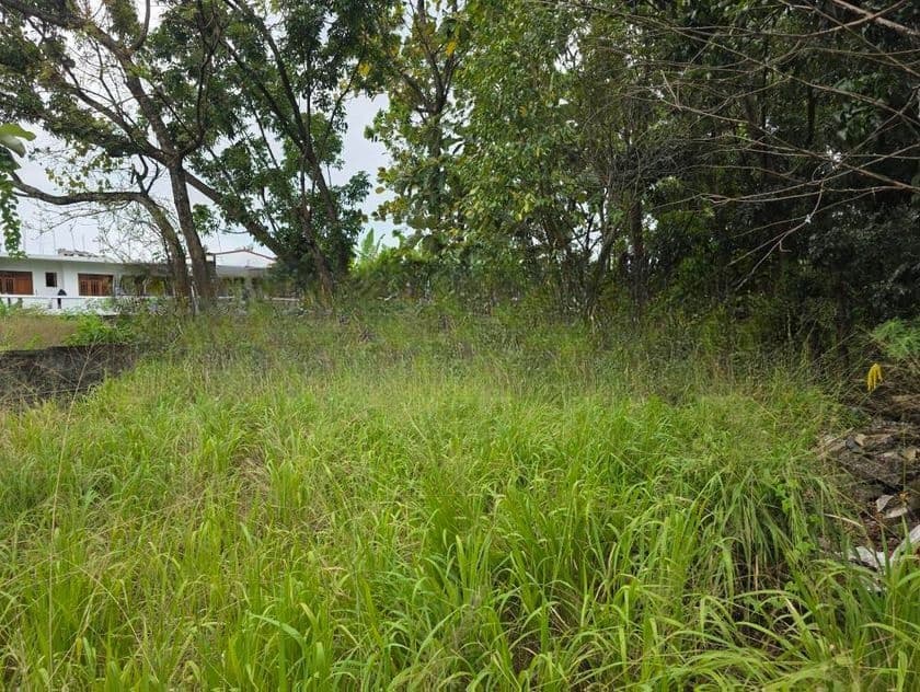 41 Perches Land Sale in Dehiwala