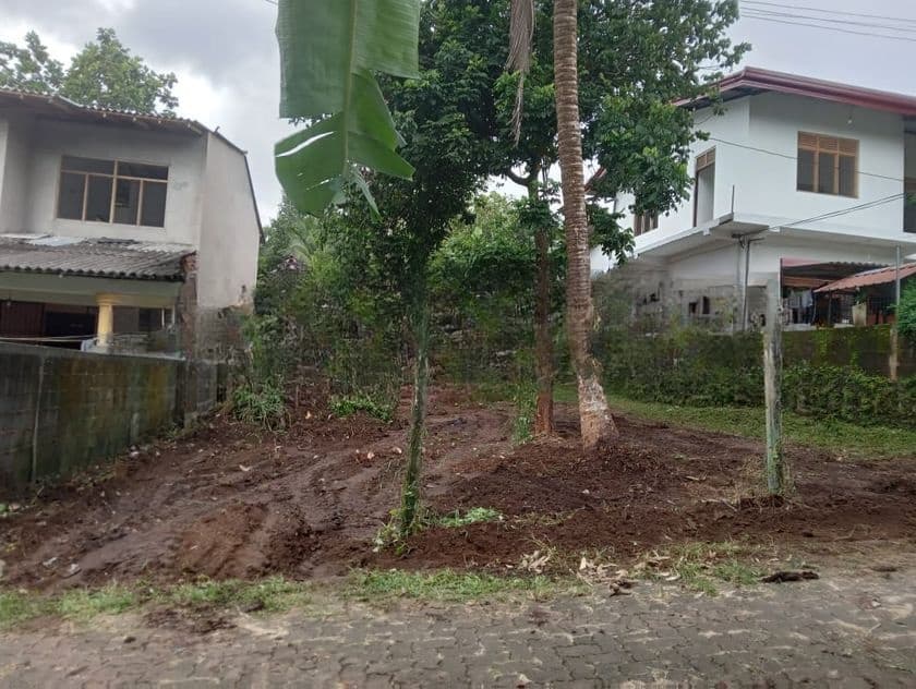 Valuable Land For Sale Kottawa