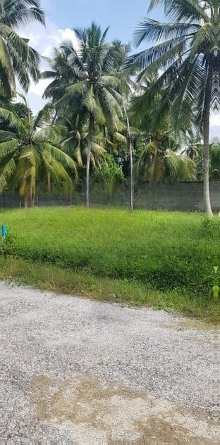 6.25 Perches land For Sale in Kadawatha (SSPL-451)