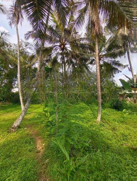 Residential Land for Sale Kadawatha City