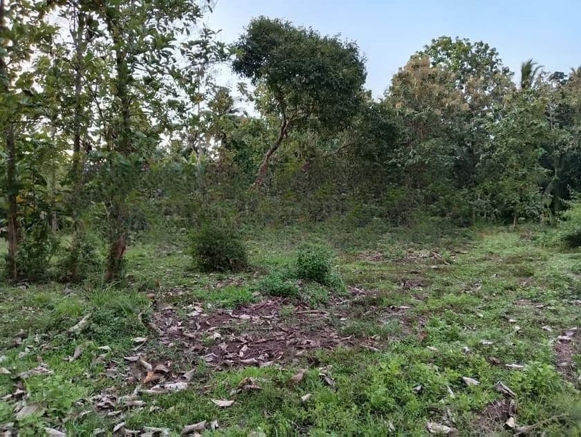 Katumuluwa, Kanaththewewa 86 Perches Land for Sale (SSPL-486)