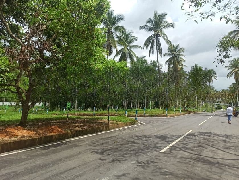 Land For Sale In Yakkala