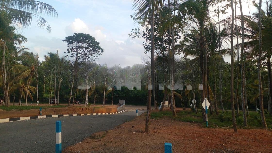 Land for Sale Ahangama