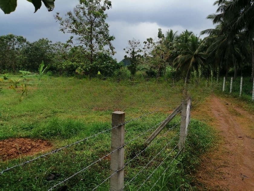 324 Perch Land for Sale in Godigamuwa