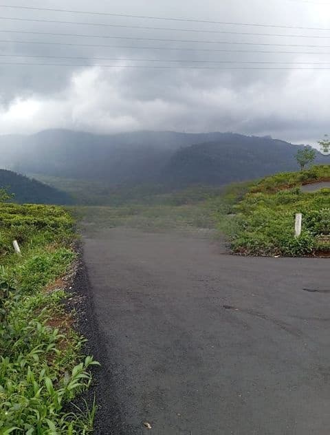 View point land for sale Nuwara Eliya Road