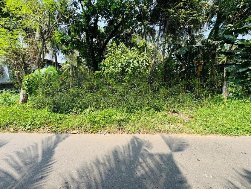 පිලියන්දල නගරයට ආසන්නව ඉඩමක් විකිණීමට - Piliyandala