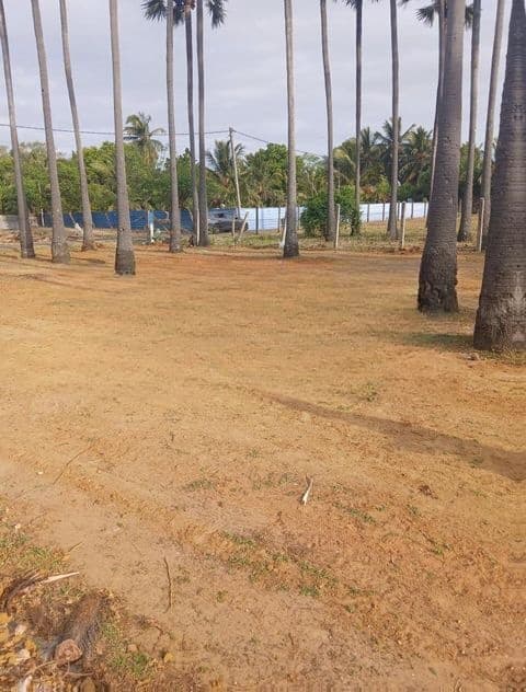 காணி விற்பனைக்கு Jaffna