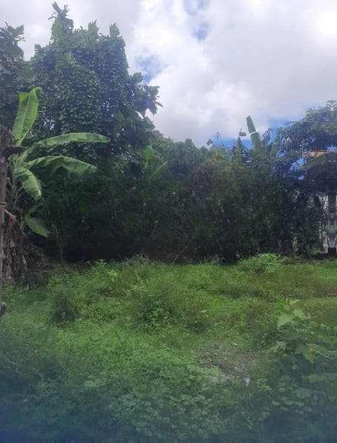 Land For Sale In Boralesgamuwa werahera
