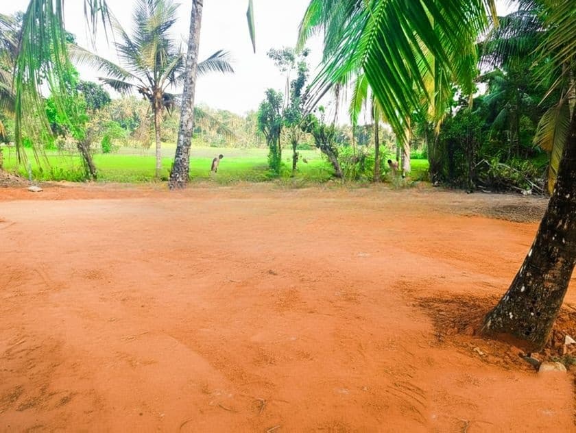 Land for Sale in Veyangoda Bus Route Y 79