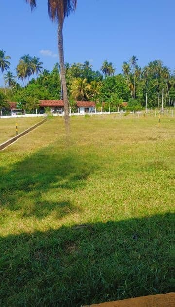 Land for Sale දාගොන්න