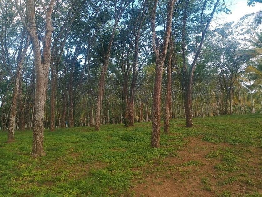 Lands For Sale In Ahangama
