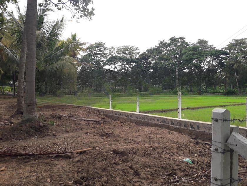 පදිංචියට වටිනා ඉඩමක් අඹගස්වැව
