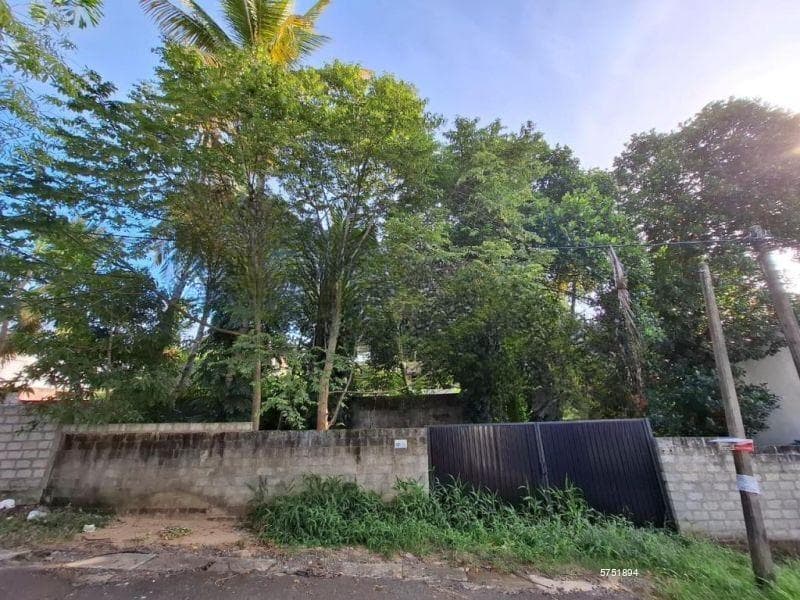 Land for sale in Colombo 5