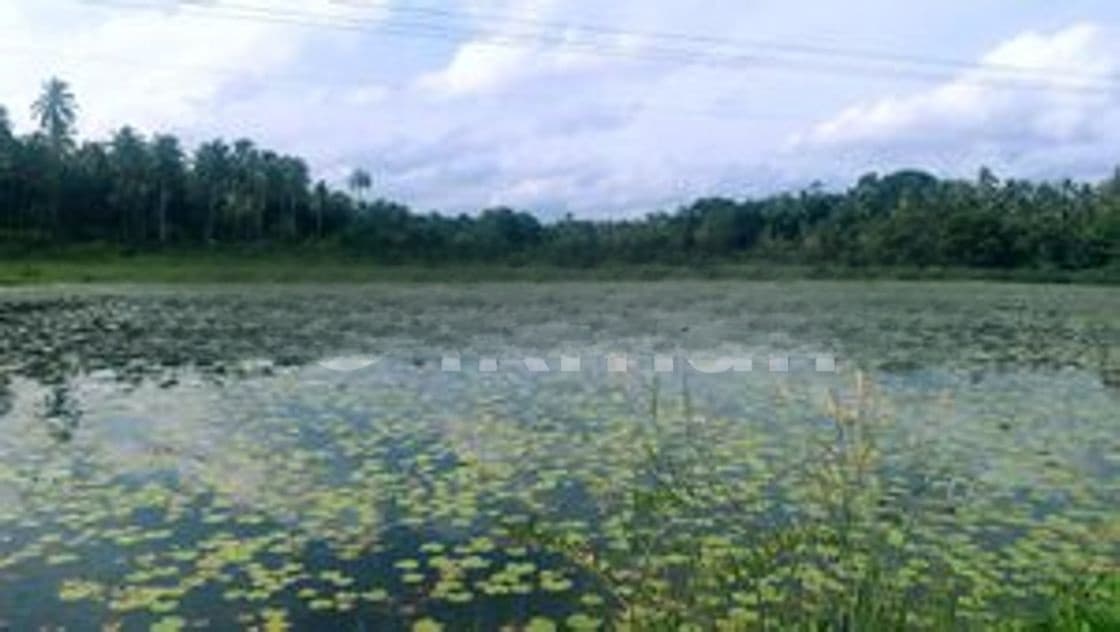 Valuable Land for Sale in Minuwangoda