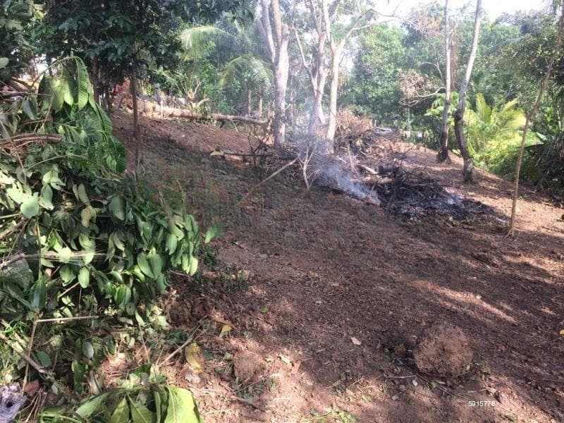 Land for sale in Kahapola, Piliyandala