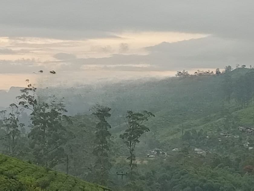 Land for Sale Nuwara Eliya