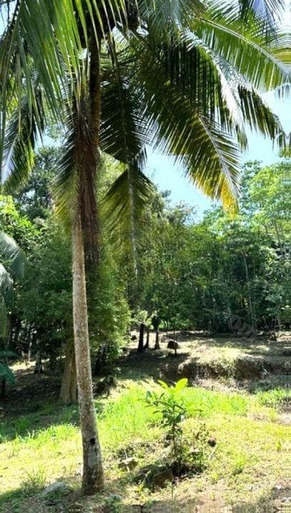 Prime Development Land for Sale in Unawatuna / Talpe