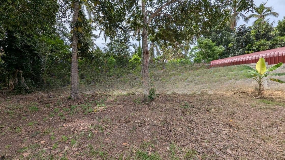 Land for Sale in Kadawatha