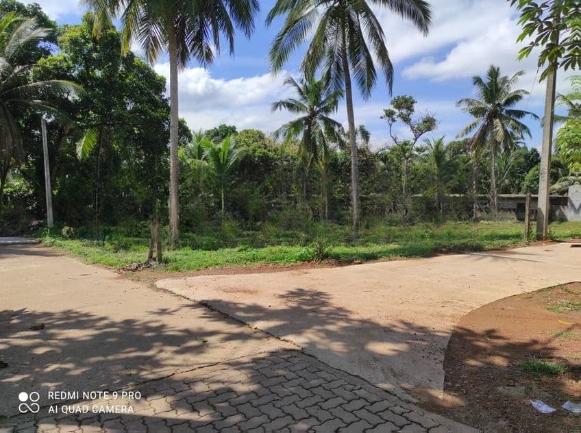 අගනා ඉඩම් - කඩවත