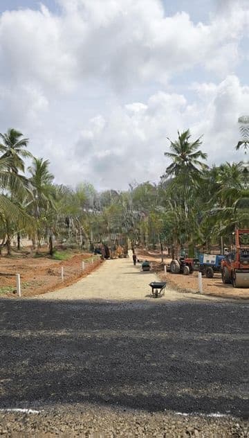 Land for Sale in Kadana