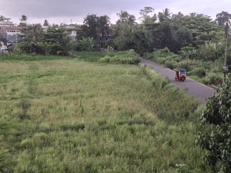 MAHARAGAMA Spcious House|Bordering PADDY FIELDS| 20 Perches| 5 Bedrooms| Rs. 39.5 Mil