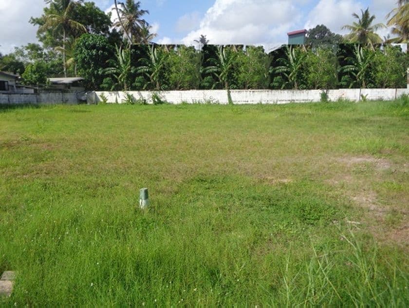 Katunayake Seeduwa Land with 20ft Road for Sale 50m to Colombo rd