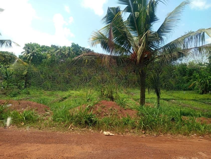 Land For Sale in Kottawa