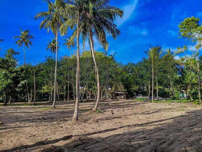 Luxury Coastal Land for Sale in Midigama