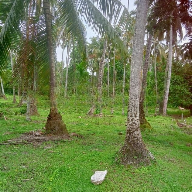 Land for Sale පන්සිල්ගොඩ , මිනුවන්ගොඩ