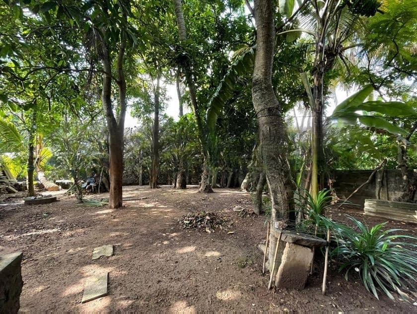 Land for sale in Colombo 05