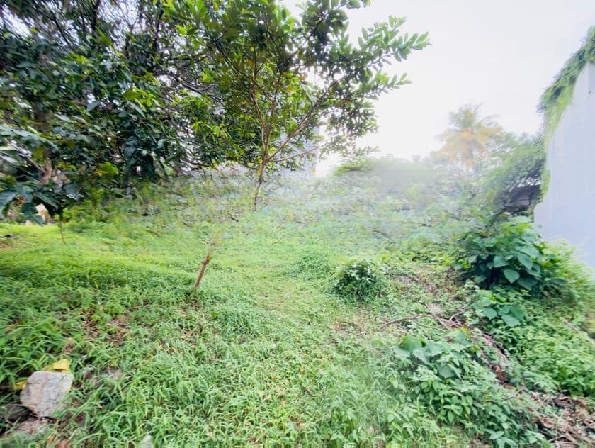 (AF554) 23.2 P Land for Sale at Priyarathnarama Road Dehiwala