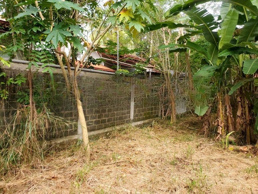 10 Perch Land for Sale in Liyanagemulla