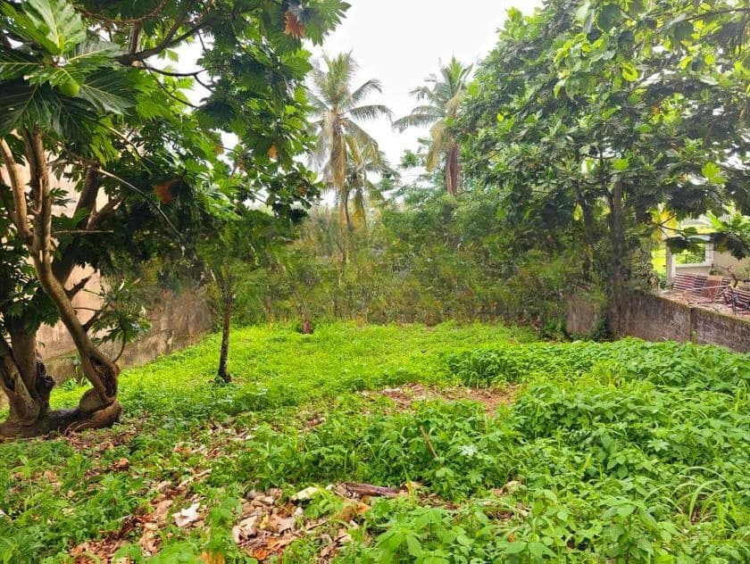 Valuable Land for Sale in Malabe , Koswatta, Battaramulla