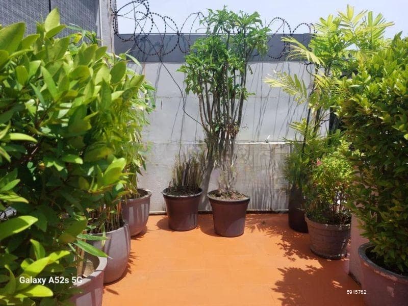 Annex for rent in Colombo 8