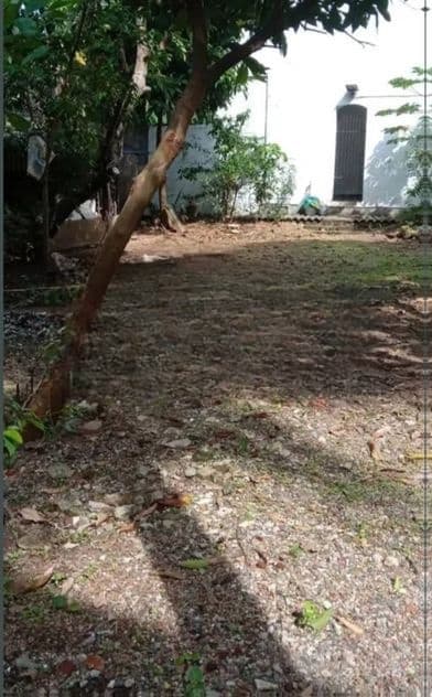 Dehiwala Kalubowila Off Hospital Rd Rathnawali 9.27P Land For Sale