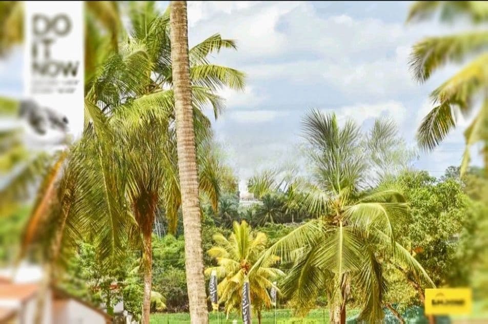අතුරුගිරිය සුපිරි බිම්කොටස් 2ක් විකිණීමට ඩී