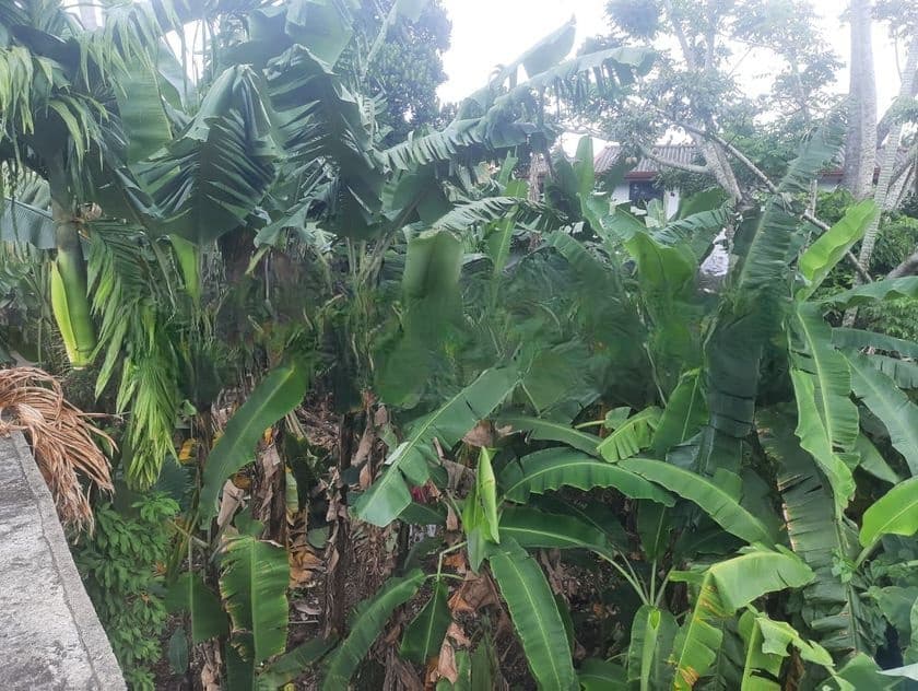Land For Sale In Maharagama Arewwala