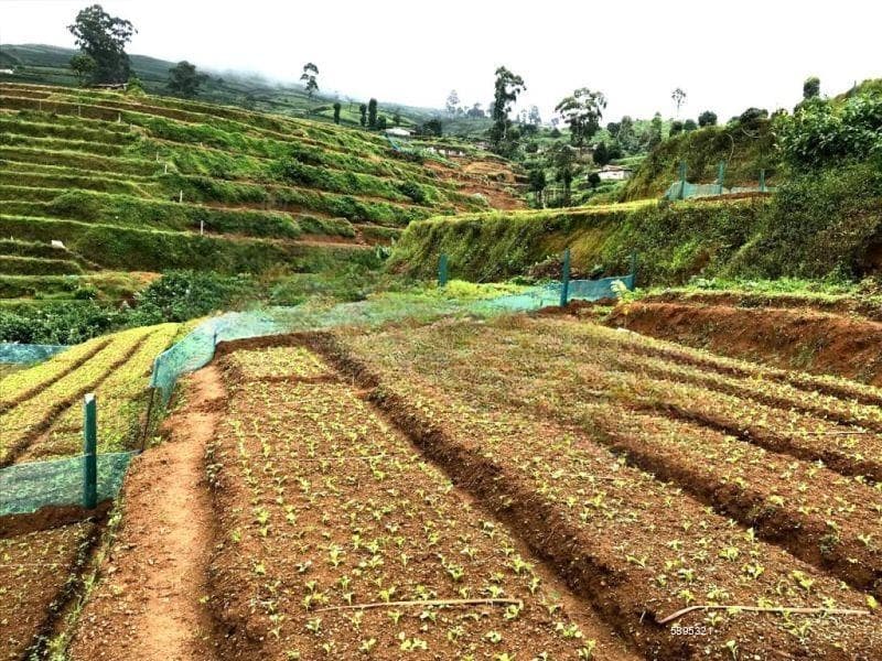 Scenic Land for Sale in Nuwara Eliya – Kuda Oya