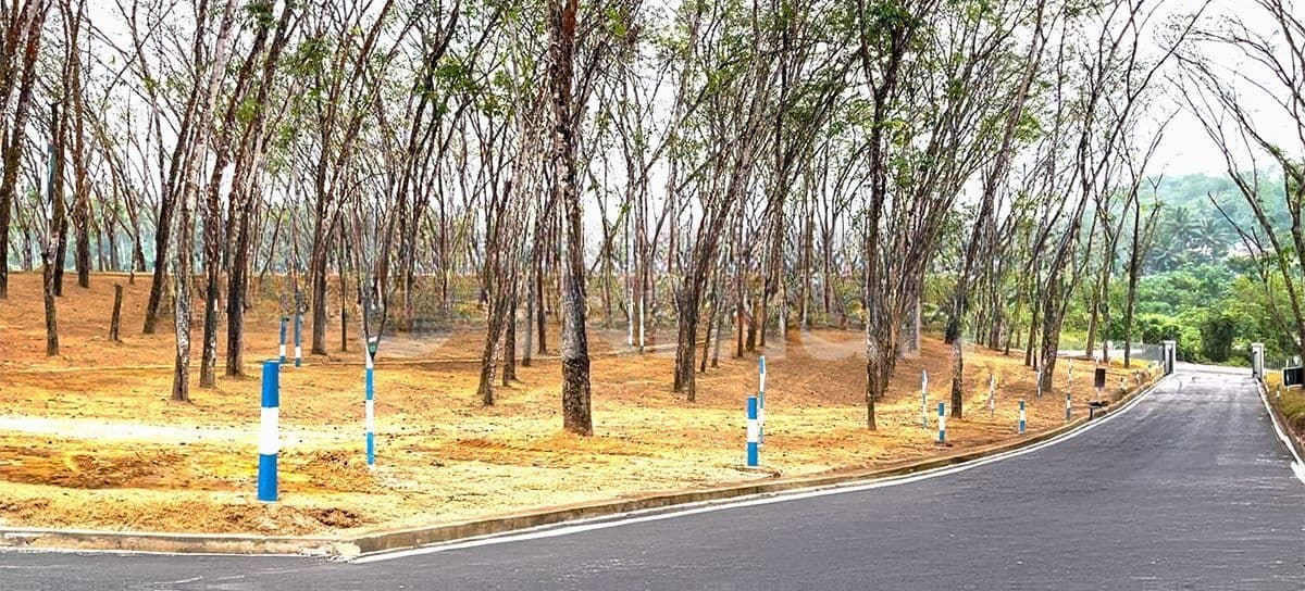 Meegoda Beruketiya Land For Sale