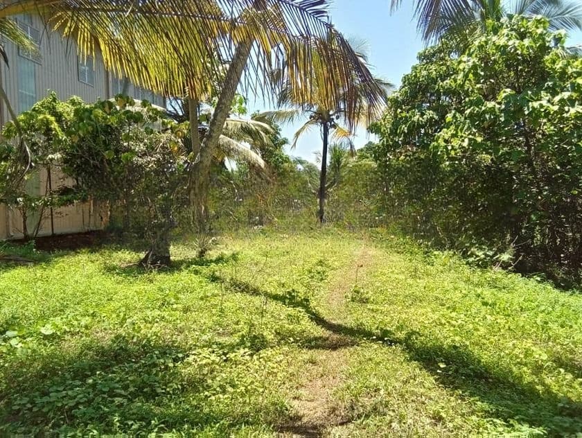 Commercial Purpose Bare Land For Sale in Seeduwa